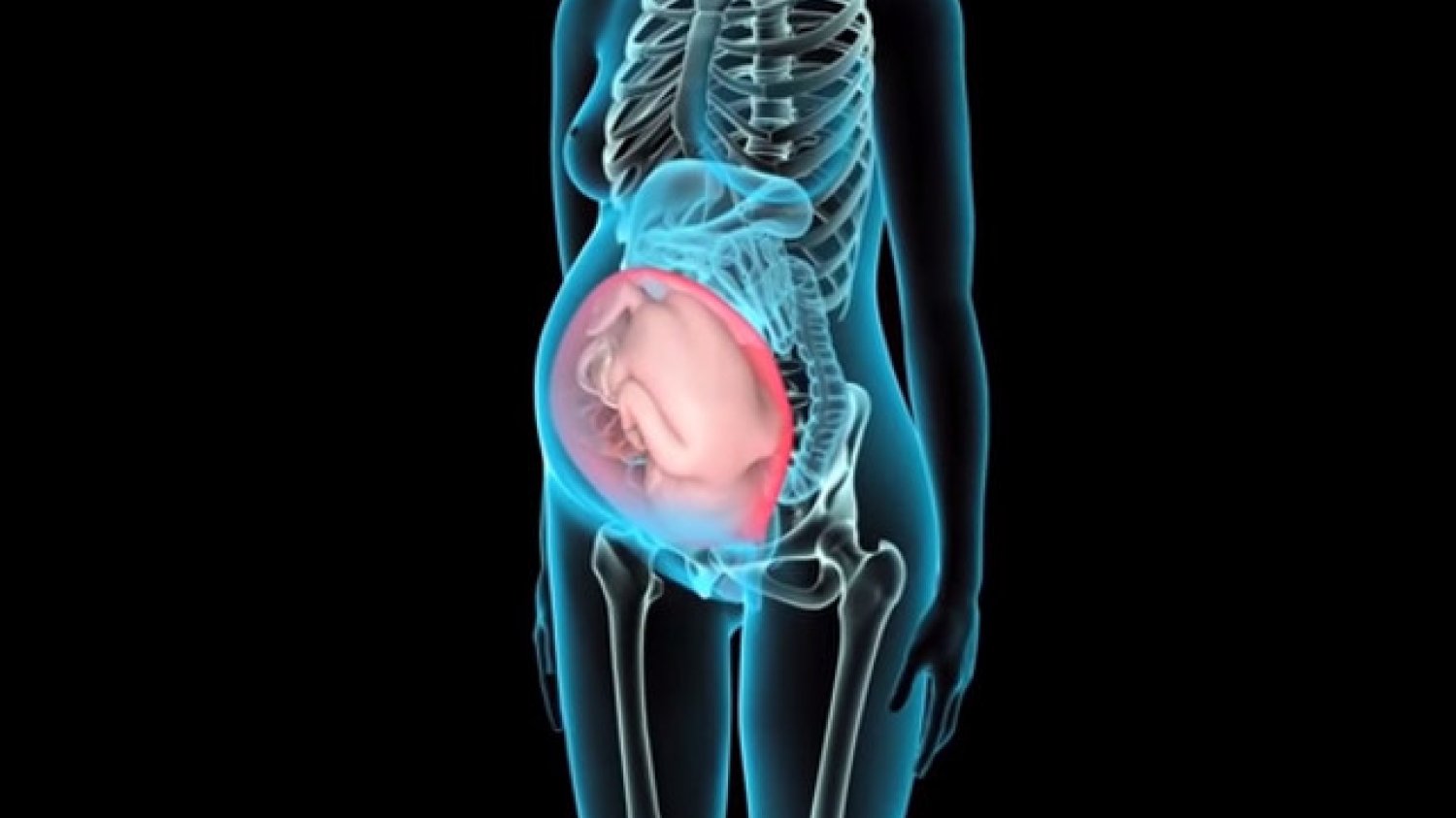 Fot. Screen z YouTube / [url=https://youtu.be/CTippfTRQTw]Manipal Hospitals[/url]