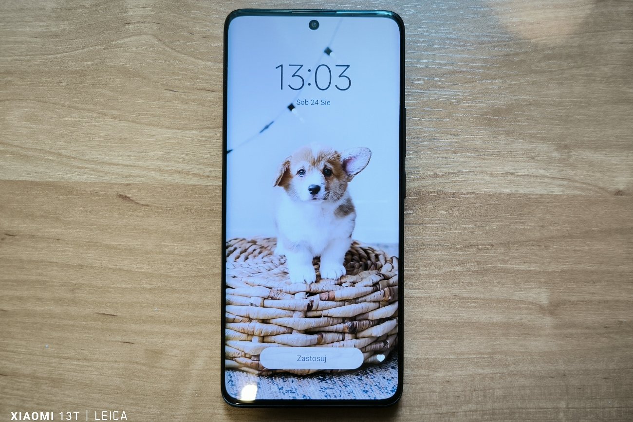 Pierwszy telefon dla dziecka. Ten telefon ma wszystko to, na co warto zwrócić uwagę przy zakupie