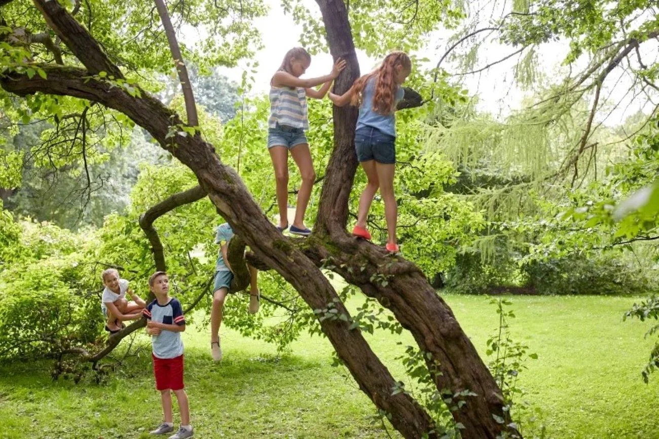 rodzicielstwo wolnego wybiegu
