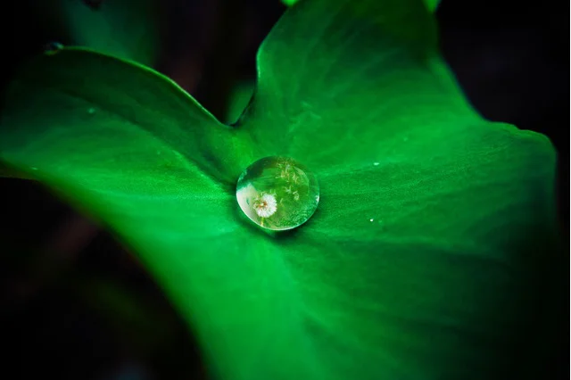 Fot. Unsplash /[url=https://download.unsplash.com/photo-1414637104192-f9ab9a0ee249]danist soh[/url] / [url=http://bit.ly/CC0-PD]CC0 Public Domain[/url]