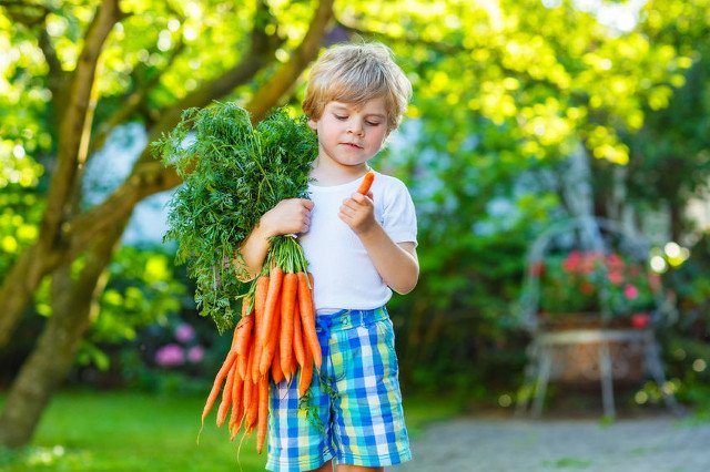 Beztroskim, długim zabawom na powietrzu mówimy głośne TAK!