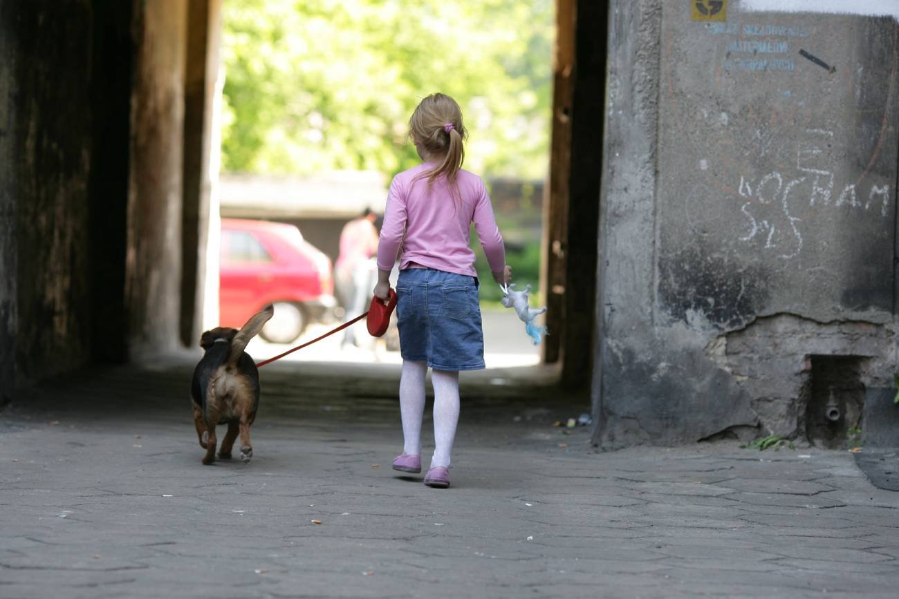 "Uratowałabyś swojego psa czy obce dziecko?". Burzę w internecie skomentował choćby prof. Bralczyk