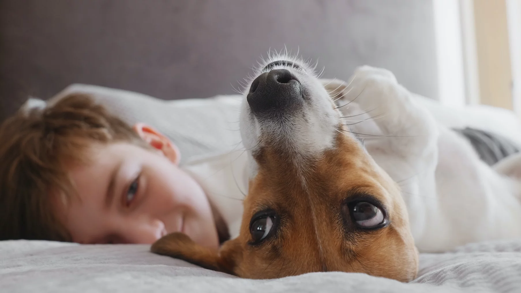 Na zdjęciu chłopiec leży z pieskiem na łóżku.