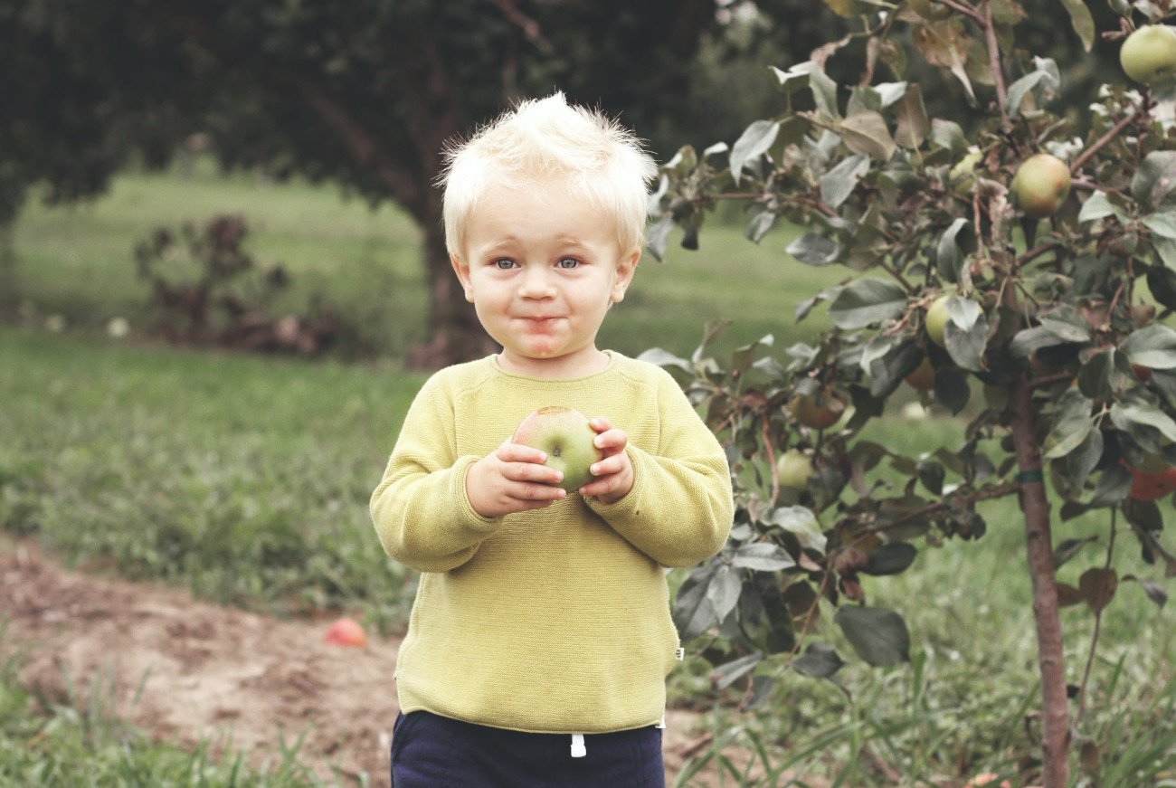 Food chaining, niejadek, wybiórczość żywieniowa, jedzenie, dziecko