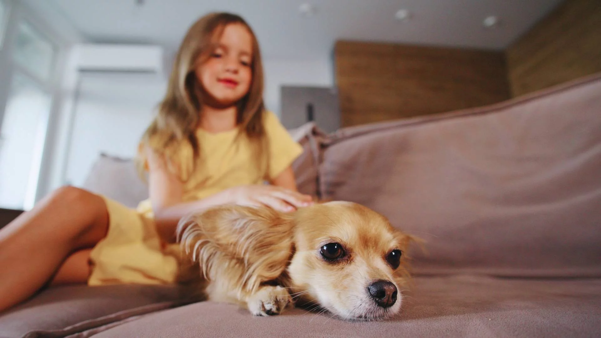 Porównała dzieci do zwierząt. Dostało jej się i od rodziców i psiarzy