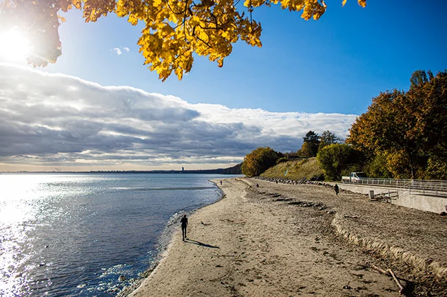 Plaża w Orłowie