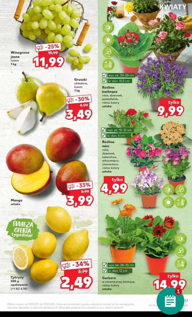 Niskie ceny - Kaufland marzec 2021