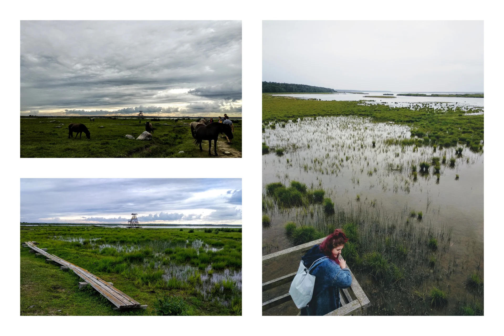 Engure Lake Nature Park to świetne miejsce, by cieszyć się dziką przyrodą