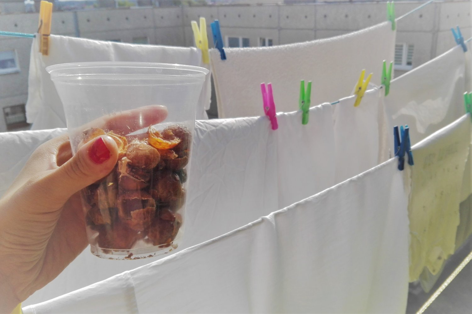 Garść orzechów za kilkanaście groszy pierze lepiej niż niejeden proszek.