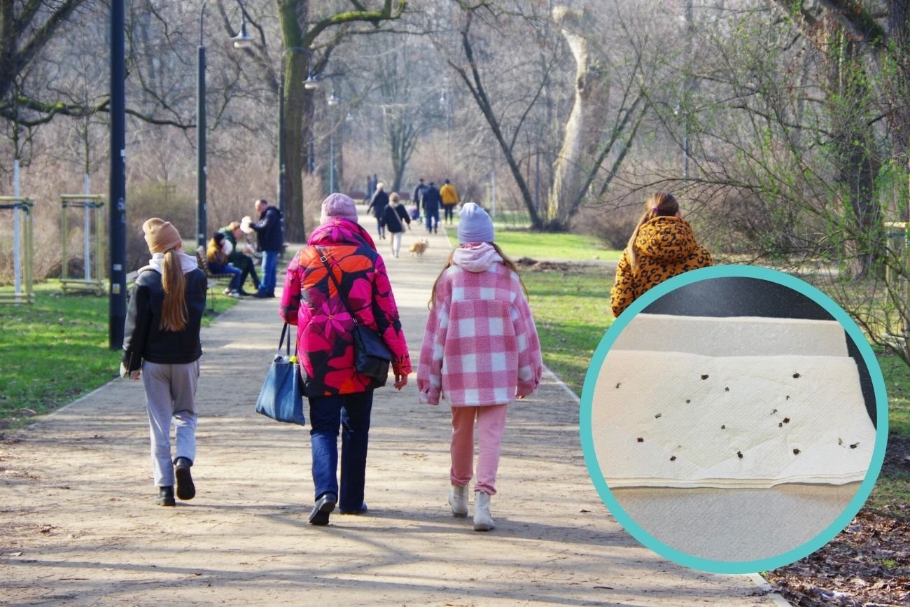 Nastolatki na spacerze w parku.