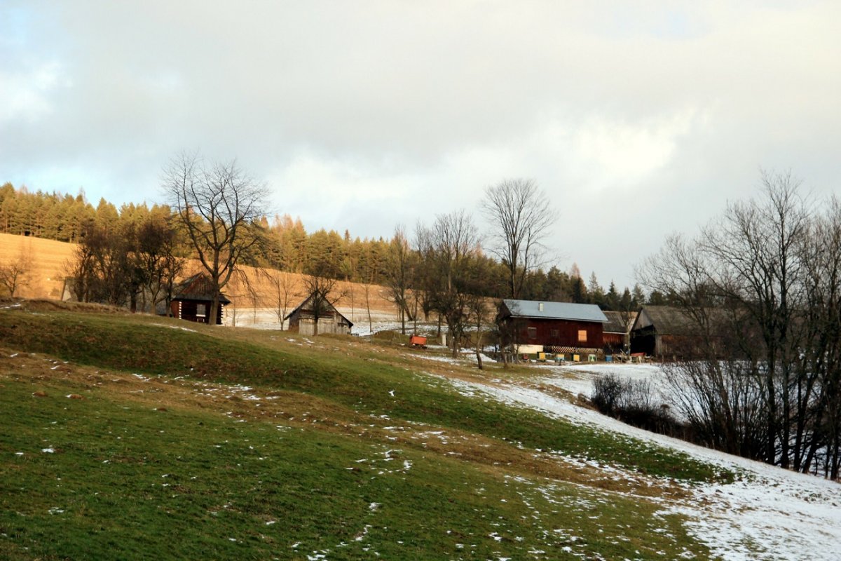 "Teściowie chcieli zabrać wnuki na ferie. Po moich słowach przestali się odzywać"