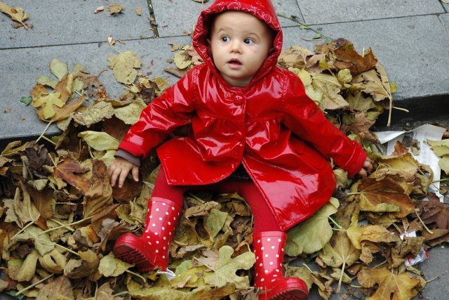 Fot. Freeimages / [url=http://www.freeimages.com/photo/no-description-1430807]Simona Balint[/url] / [url=http://www.freeimages.com/license]Content License[/url]