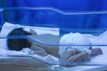 Prawo autorskie: plepraisaeng / 123RF Zdjęcie Seryjne