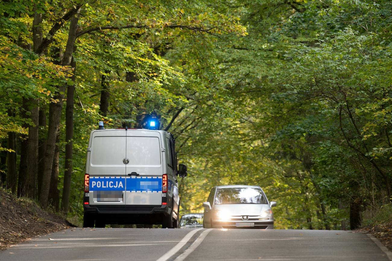 policja w lesie