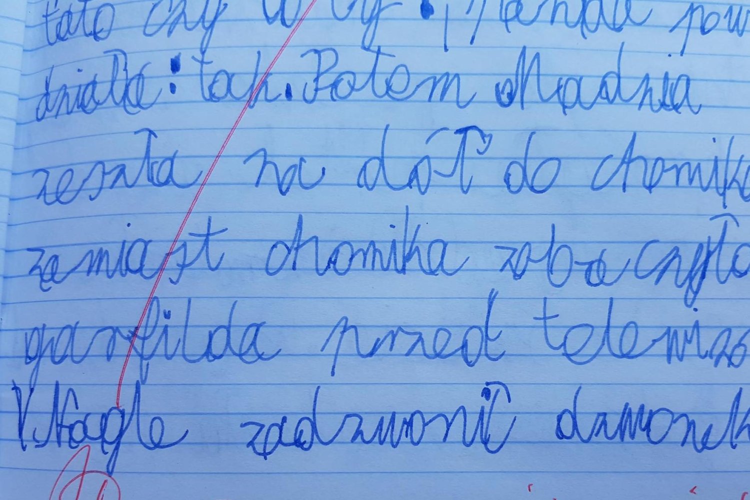 Nauczycielka skrytykowała opowiadanie 10-latka, którym zachwycili się internauci i... Sylwia Chutnik