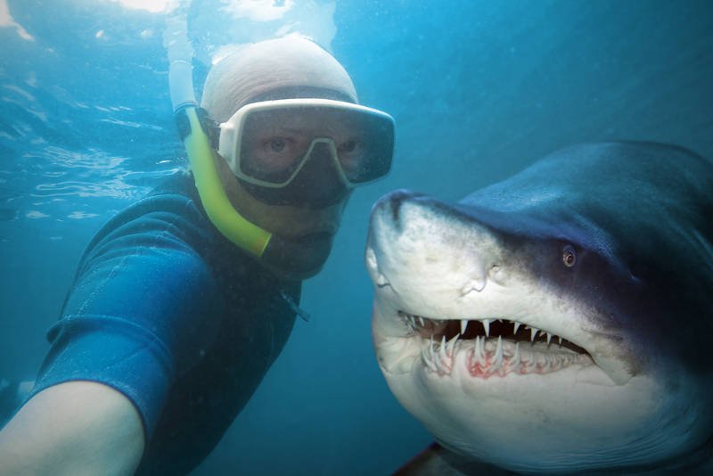 Takie selfie robi większe wrażenie niż zdjęcie z windy przed imprezą. Ale znamy kilka historii, kiedy pozowanie do zdjęć skończyło się tragedią