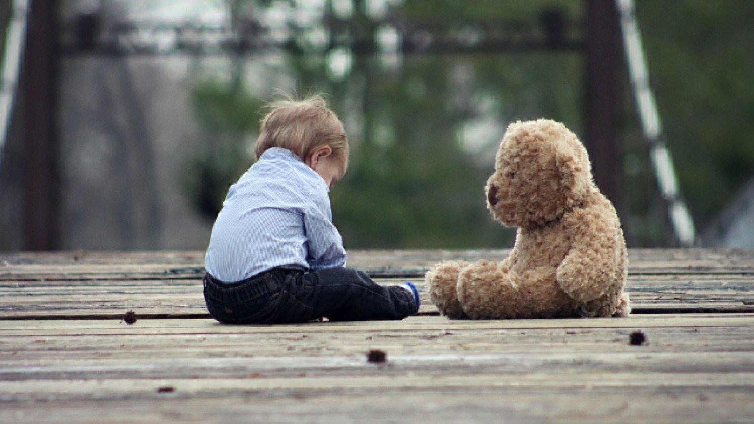 Fot. Pixabay / [url=https://pixabay.com/pl/kochanie-teddy-nied%C5%BAwied%C5%BA-%C5%82adny-623417/] cherylholt [/url] / [url=https://pixabay.com/pl/service/terms/#usage] CC0 Public Domain [/url]