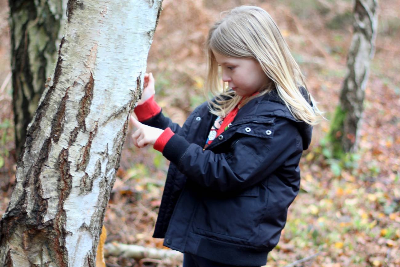 Dziewczynka podczas spaceru bawi się obok brzozy.