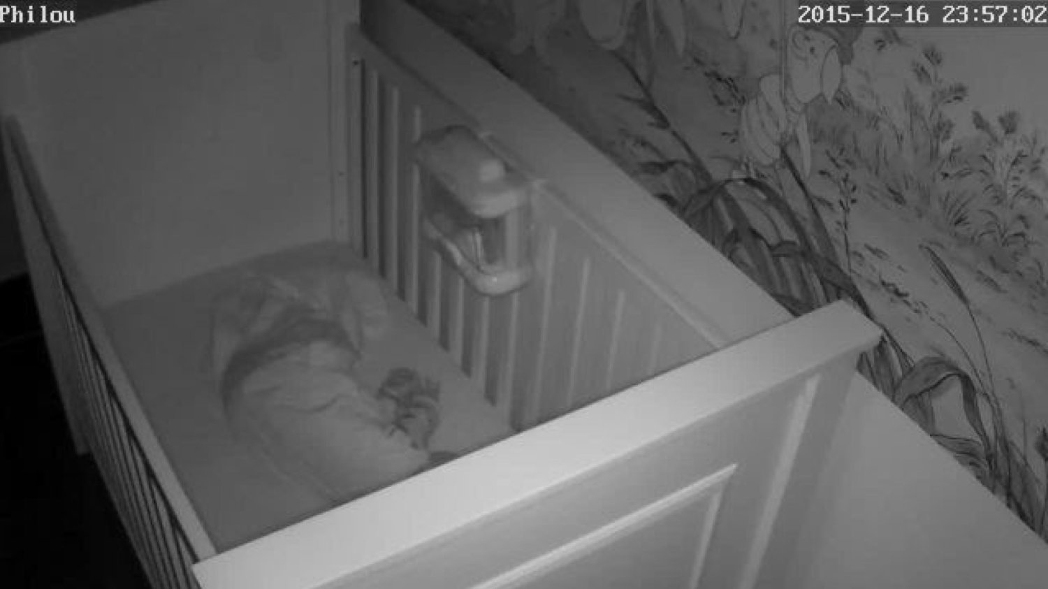 Fot. Screen z [url=http://arstechnica.com/security/2016/01/how-to-search-the-internet-of-things-for-photos-of-sleeping-babies/]arstechnica.com[/url]