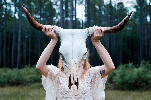Fot. Pixabay/[url=https://pixabay.com/pl/czaszka-rogi-zwierz%C4%85t-g%C5%82owy-690246/]Unsplash[/url] / [url=  http://pixabay.com/pl/service/terms/#download_terms]CC O[/url]