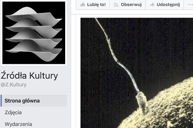 Autor posta krótko o tym, jak powinno być konstruowane prawo.