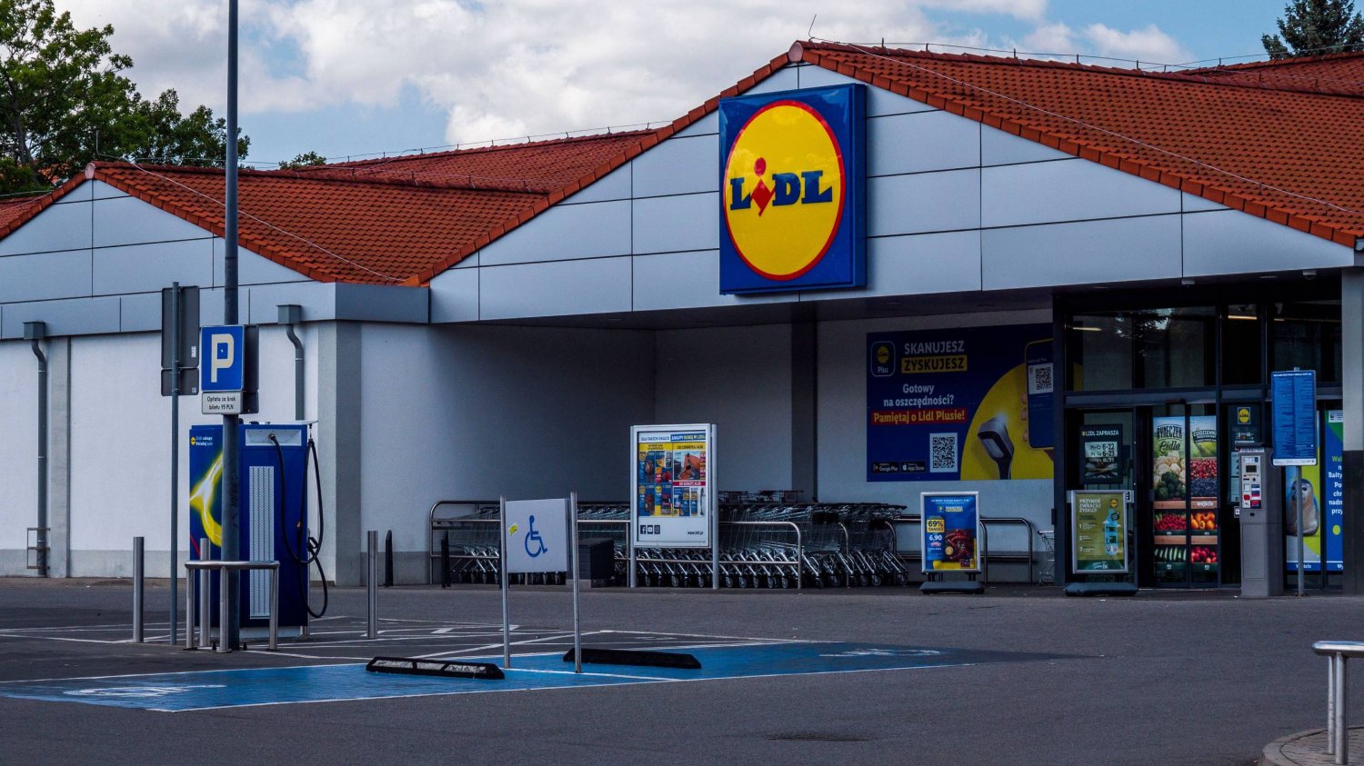Lidl znów rzucił na półki roślinę, obok której trudno przejść obojętnie. Polki ją kochają