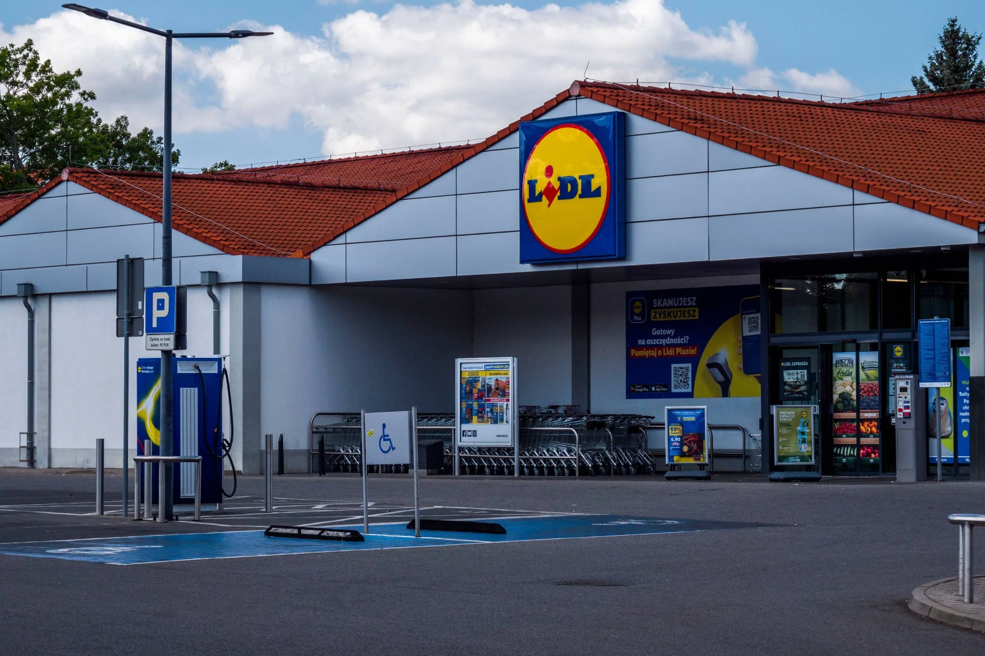 Lidl znów rzucił na półki roślinę, obok której trudno przejść obojętnie. Polki ją kochają