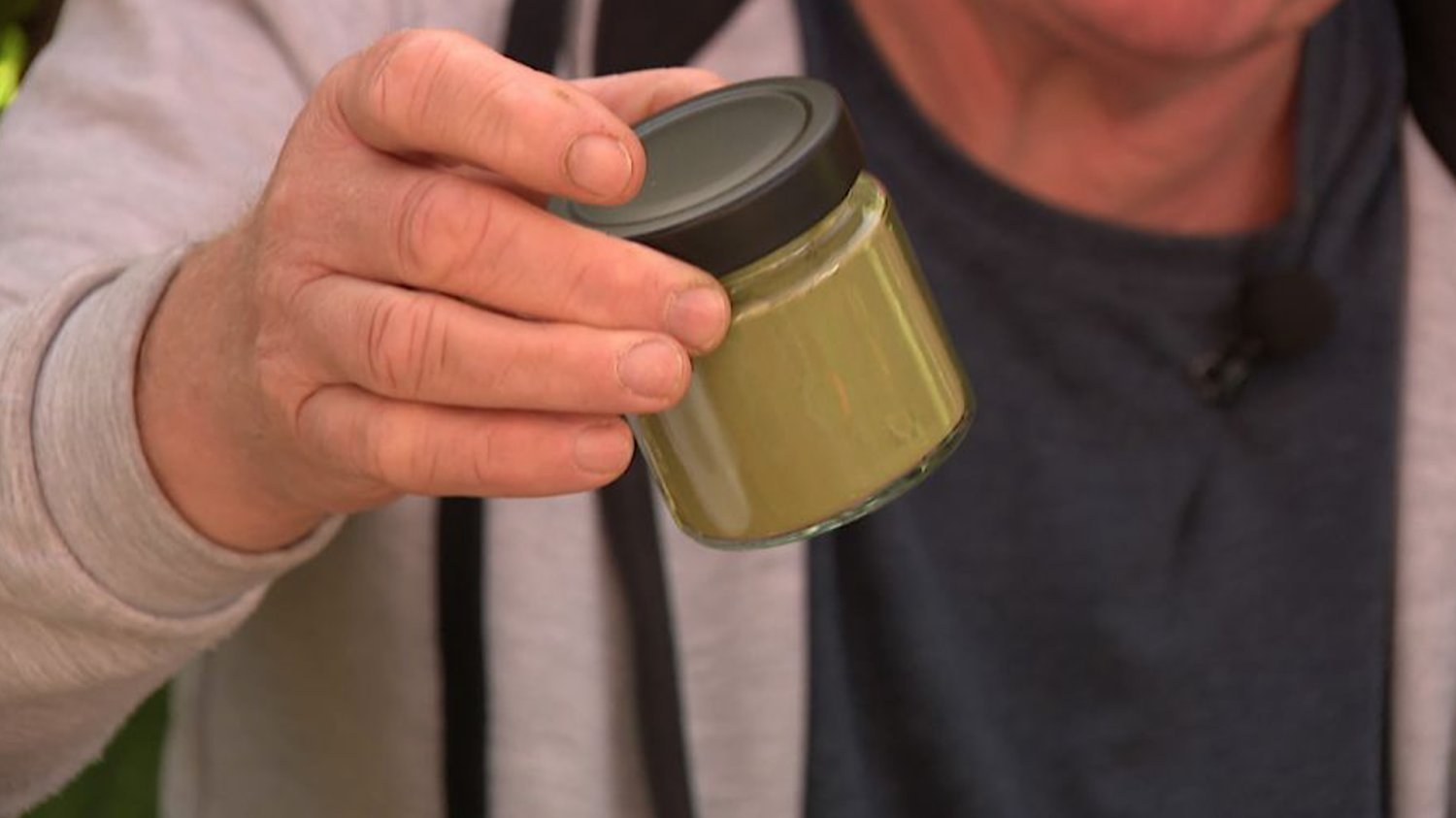 matcha z Podlasia