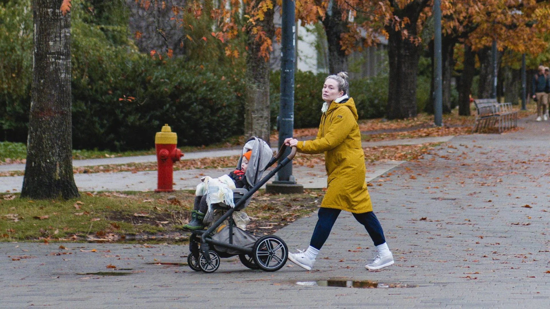 Wciąż dokładają do 800 plus, choć dzietność spada. Tak Polacy oceniają "socjale"
