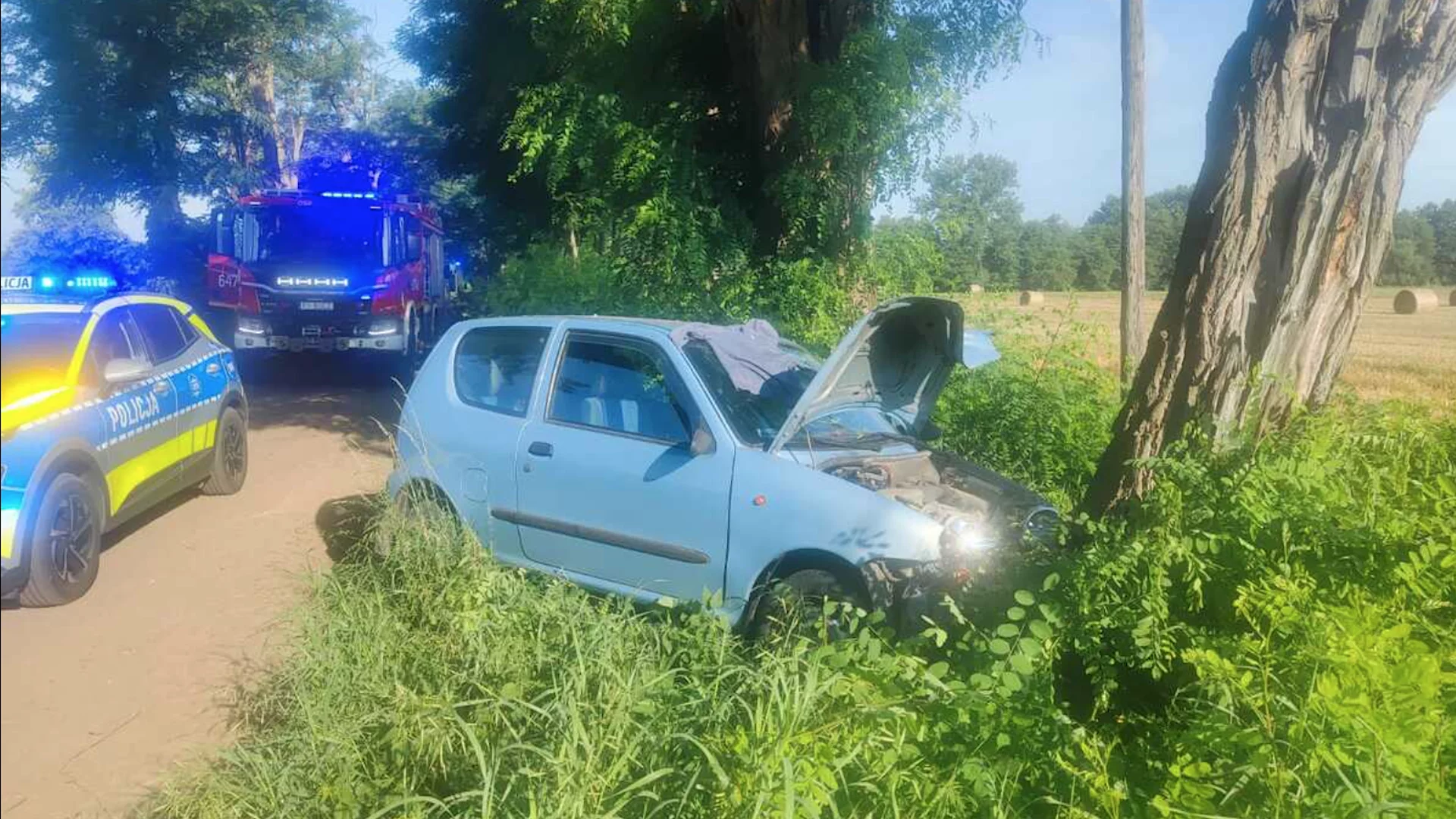 7-latek został sam po uderzeniu auta w drzewo. Matka uciekła z miejsca wypadku